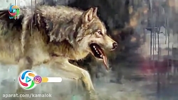 داستان آموزنده به دنبال فلک