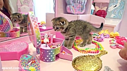 دیانا وروما ( این قسمت گربه )