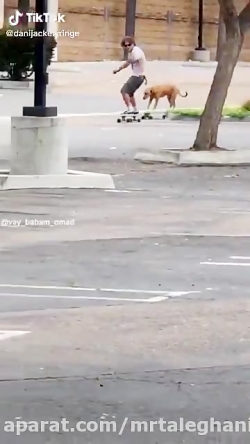 سگه داره اسکیت می کنه