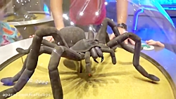 دیانا و روما - بازی دیانا و رو...