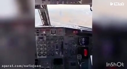 بر خورد پرنده با هواپیما