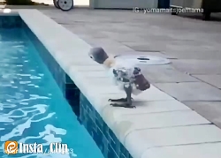 دوبله خنده دار