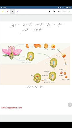 ویدیو حل تست فصل 8 زیست یازدهم