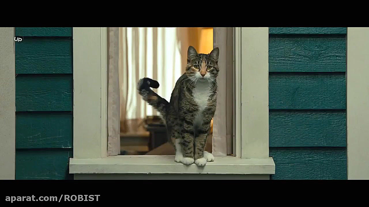 فیلم A Dogs Way Home 2019 مسیر بازگشت یک سگ به خانه با دوبله فارسی زمان5728ثانیه