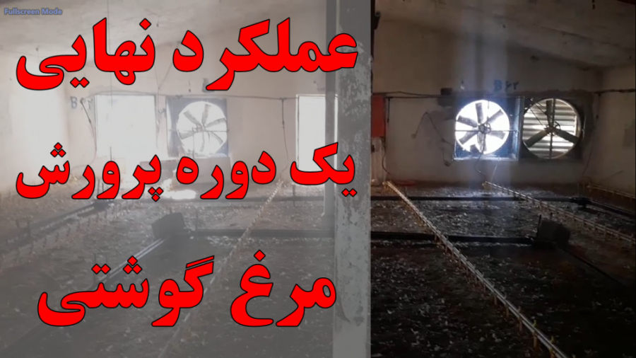 بررسی عملکرد نهایی یک دوره پرورش مرغ گوشتی: چالش ها و راهکارها دکتر محمد مهدی عبدالهی (دامپزشک)