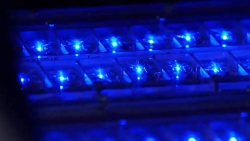 خودروی الکتریکی موستانگ