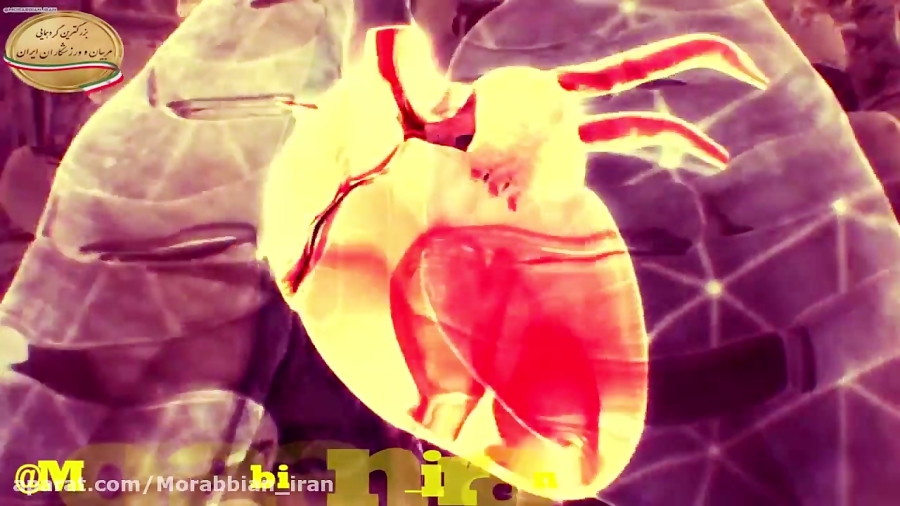 فیزیولوژی دویدن استقامتی