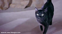 خطرناک ترین نژاد گربه
