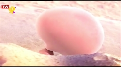 ماموک  قسمت ۳۹۴