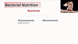انواع محیط کشت میکروبیولوژی |...