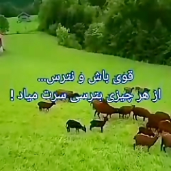کلیپ جذاب انرژی فوق مثبت (از ز...