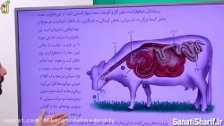 زیست شناسی(آموزش مجازی)