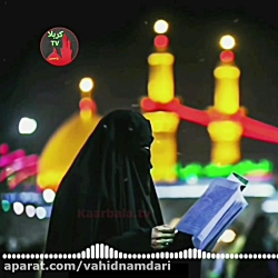 کربلایی وحید نامداری
