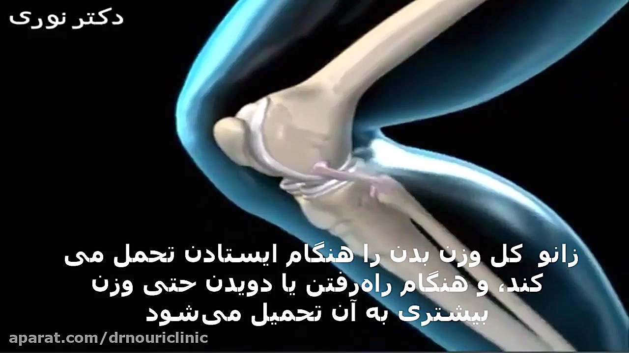 زانو دکتراسماعیل نوری
