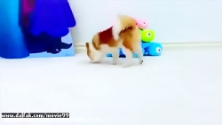 استیسی و بابایی جدید  استیسی و...