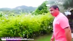 استیسی و بابایی جدید  استیسی و...