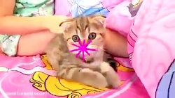 دیانا و روما - دیانا روما - دی...