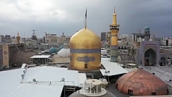 نماهنگ - امام رضا قربون کبوترا...