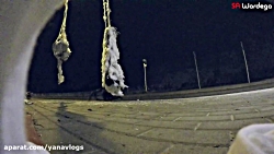 دوربین مخفی عنکبوت جهش یافته !