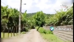 ماجرای رومینا اشرفی از زبان خا...