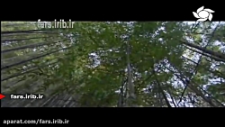 ترانه ای زیبا درباره زندگی که...