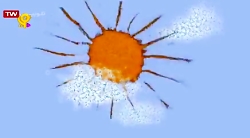 کارتون شن دونه ها _ دوستی