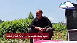 پدر رومینا بعد از قتل ، موی دخ...