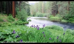 شیخ القرآن مولانا محمد عثمان (...