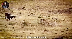 چگونه از شیطان دور شویم؟