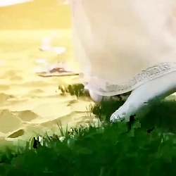 دعای فرج زیبا