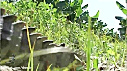 مستند آوای زمین ( گاندو )