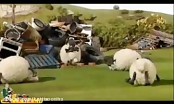 کارتون بره ناقلا