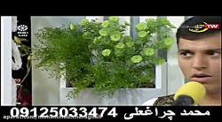 خواننده و گروه موسیقی محمد چراغعلی