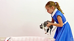 استیسی و بابایی این داستان  پر...