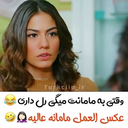 پرنده سحرخیز