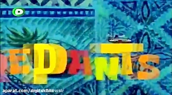 باب اسفنجی
