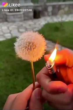 اجی درسا تسلیت میگم