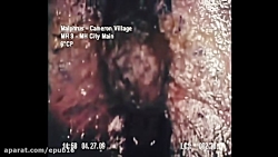 5 ویدیو از موجودات عجیب و غریب...