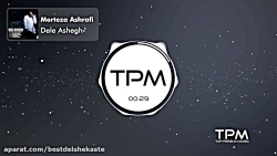 آهنگ بسیار زیبای (دل عاشق) از...