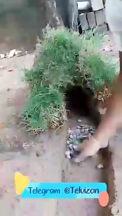 ساخت ماکت تونل و راه&zwnj;آهن...