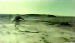 روایت خالصانه و شوانگیز سالهای...