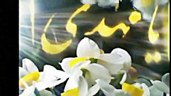 کلیپ کوتاه عاشقانه امام زمان ❤