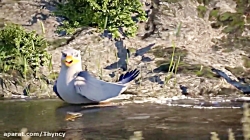 دانلود انیمیشن مانو پرستوی چاب...