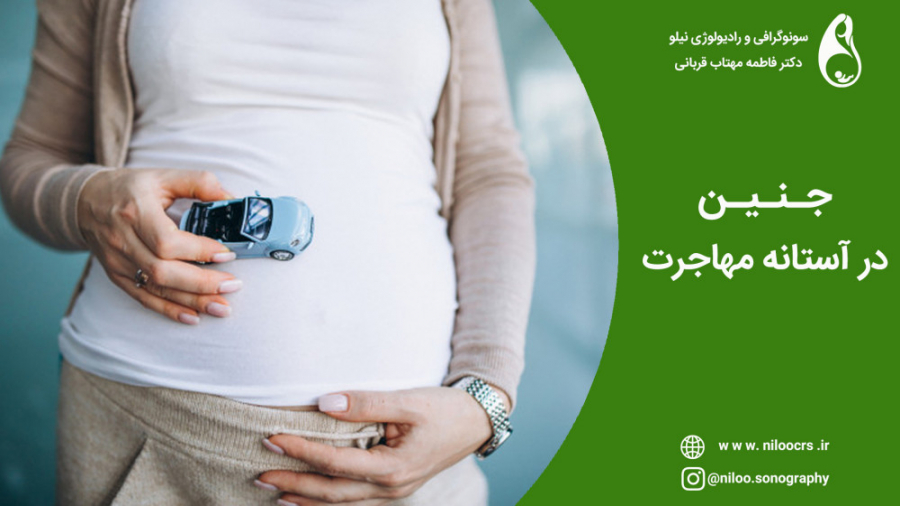 جنین در آستانه مهاجرت سونوگرافی نیلو دکتر فاطمه مهتاب قربانی