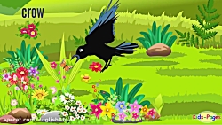 آموزش زبان انگلیسی: پرندگان (س...