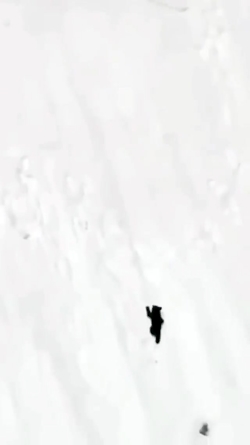 کلیپ جالب -من رو دنبال کنید