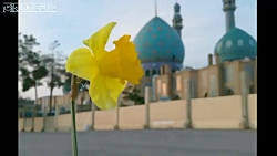 مداحی زیبا درباره امام زمان عج