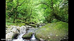 موسیقی محلی بانو جان بی کلام