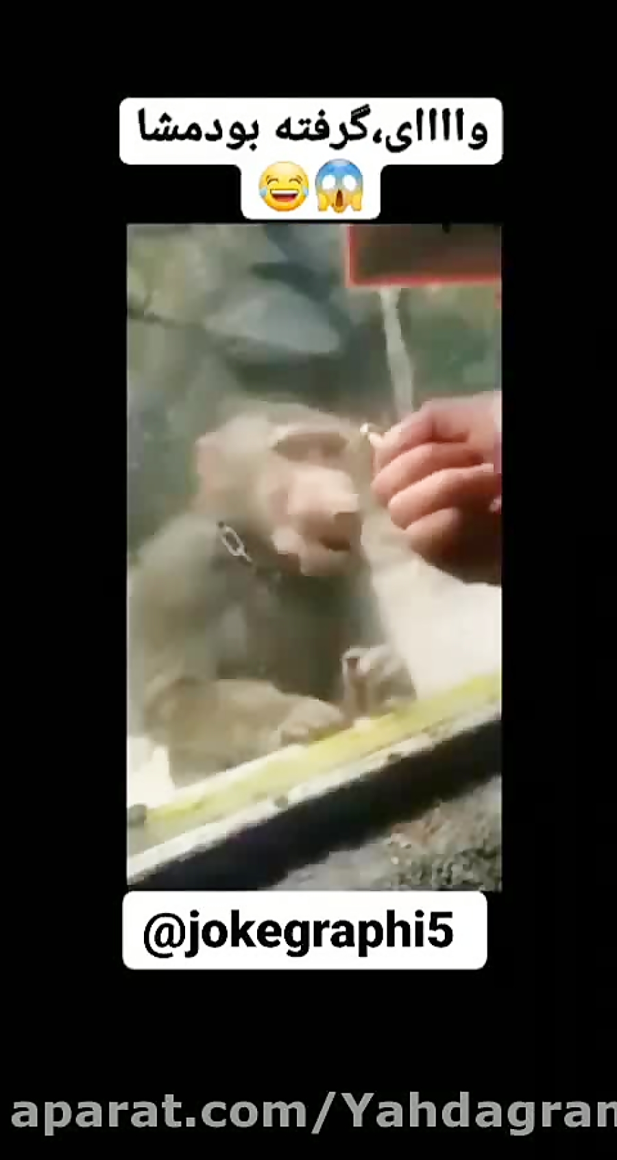 وای گرفته بودما:))