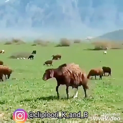 ارامش چه ارامشی اخر طبیعت